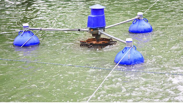 3HP 상업용 양식 어류/새우 연못 에어레이터 (선택사 - Fish Pond Aerator 리뷰 및 가격