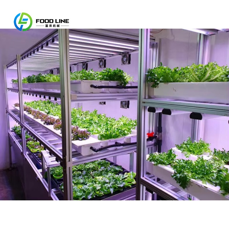 맞춤형 40인치 농업용 온실 컨테이너 식물 재배장 수경 - Hydroponic Farming Agriculture 리뷰 및 가격