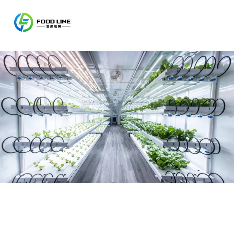 맞춤형 40인치 농업용 온실 컨테이너 식물 재배장 수경 - Hydroponic Farming Agriculture 리뷰 및 가격