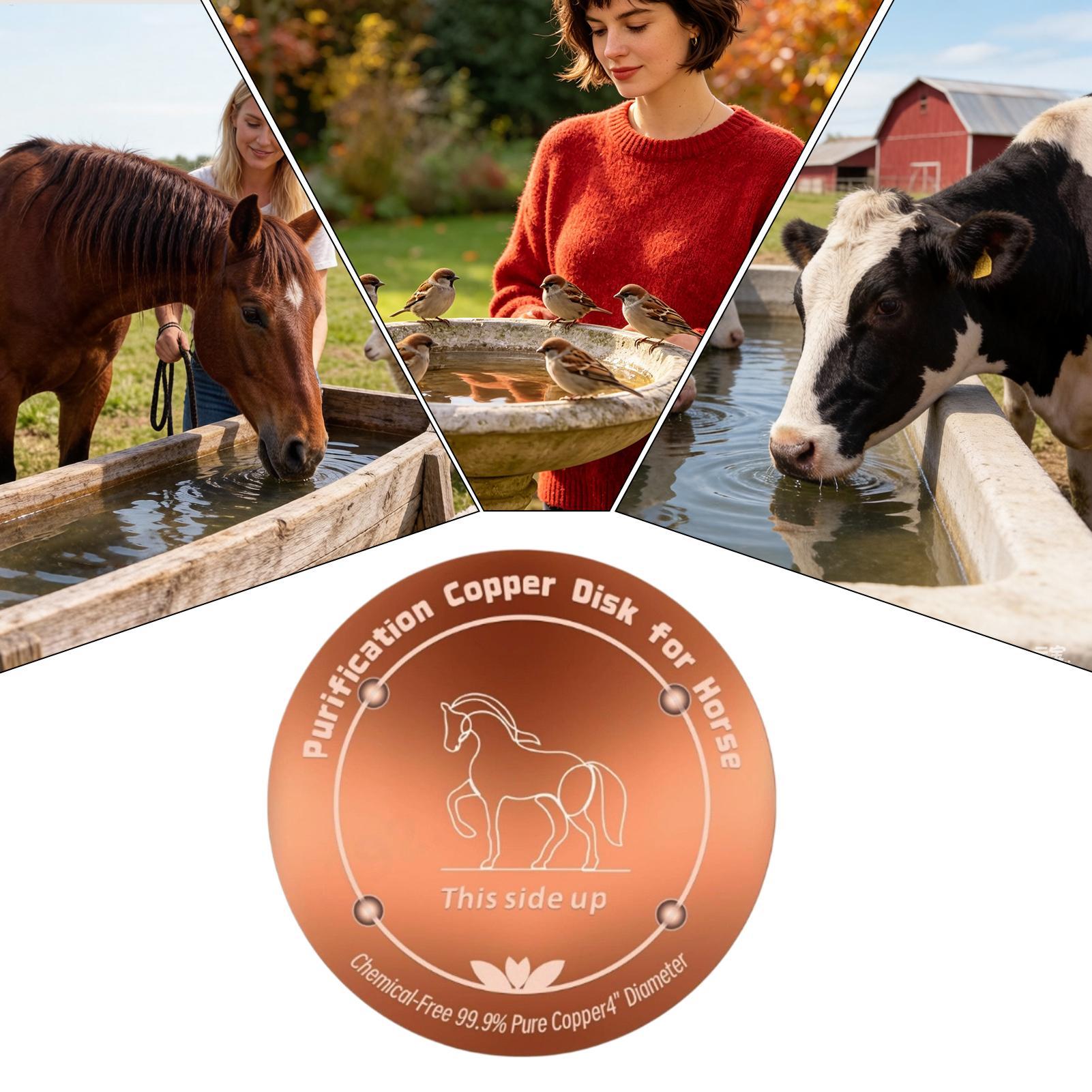 4인치 구리 정수기 소 물통 정화판 구리 디스크, 사계 - Farming A 리뷰 및 가격
