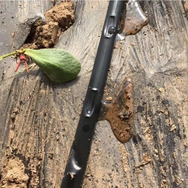 공장 가격: 1 헥타르 농업 관개 시스템 설계. 농장  - Farming In Agriculture 리뷰 및 가격