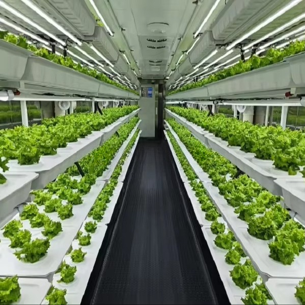 스마트 자동 에어로포닉/아쿠아포닉 채소 재배용 컨테이너 - Farming A 리뷰 및 가격